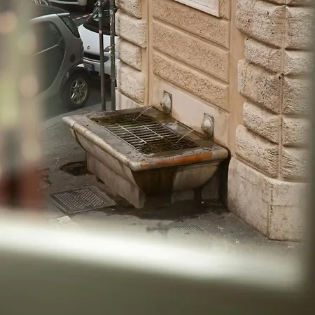 Repetita Juvant Oda ve Kahvaltı *