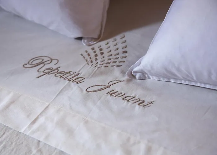 Repetita Juvant Bed & Breakfast Roma